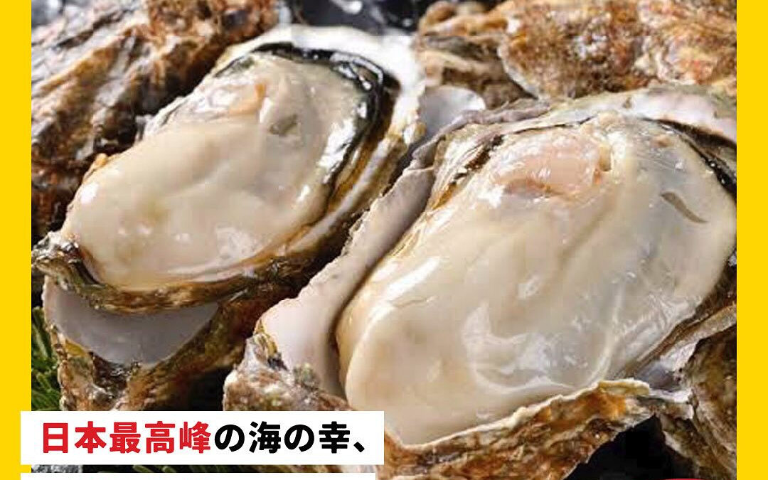 2/16(日)厚岸海鮮祭