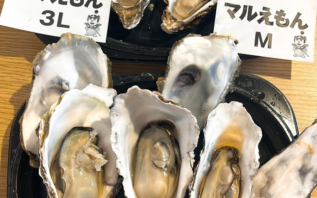 11/28(金)-30(日) Brassrie Knot 1