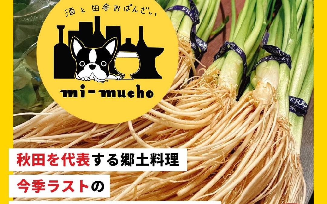 2/14(土)-15(日)秋田郷土料理・セリ鍋会